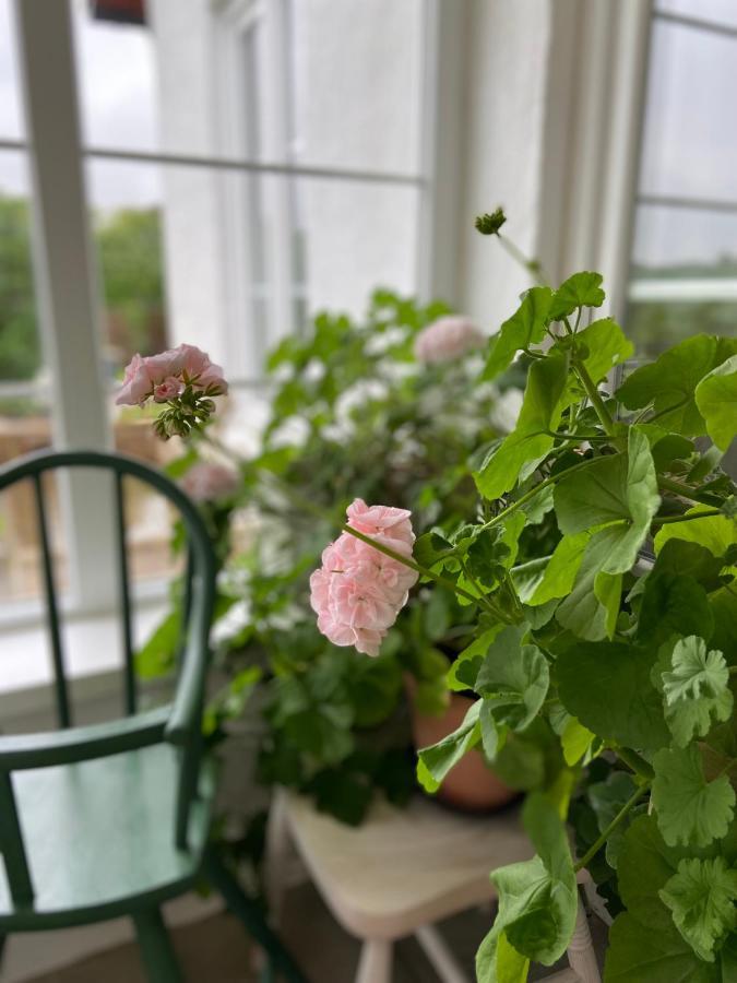 Blomstertantens Hus Trelleborg Exterior foto